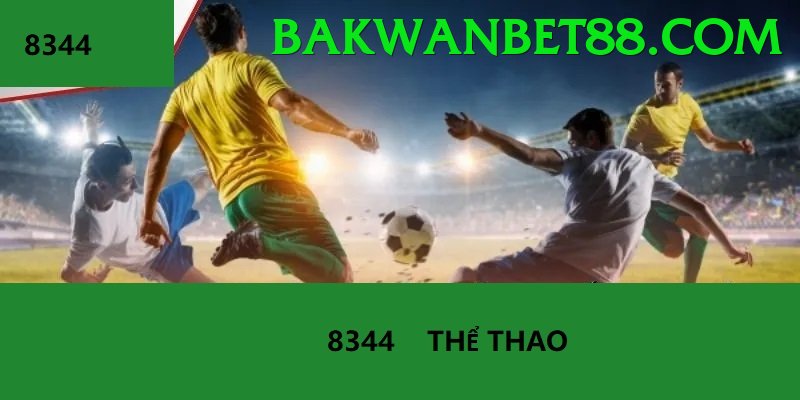 Cá Cược Thể Thao - 555win